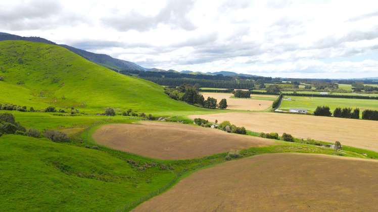 777 Kumeti Road Dannevirke_25