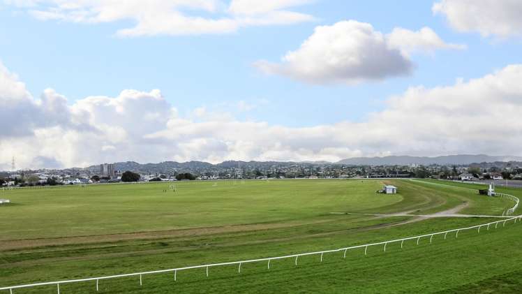 40 Elm Street Avondale_30