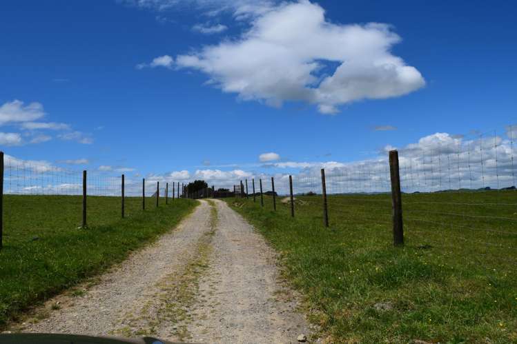 434 Pukehoi Road Eketahuna_8