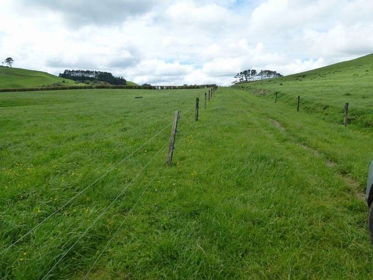 1265 Mountain Road Inglewood_30