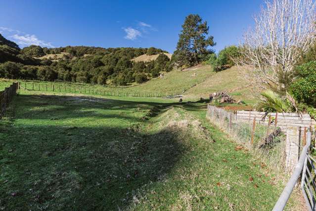 164 Hill Road Eskdale_2