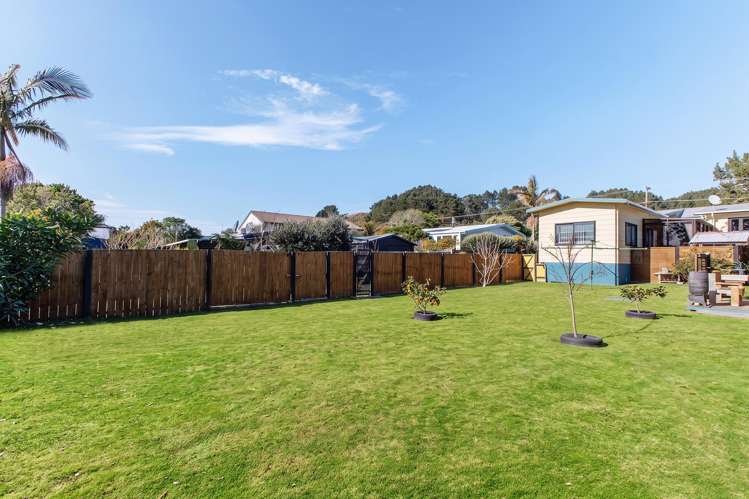 285 Pohutukawa Avenue_2