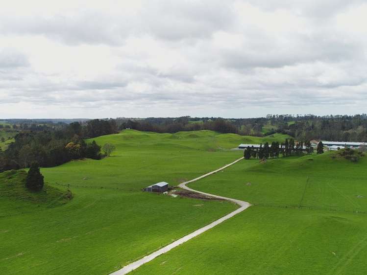 506 Tauranga Direct Road Hamurana_6