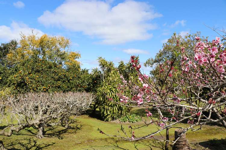 412a Paihia Road Kawakawa_10