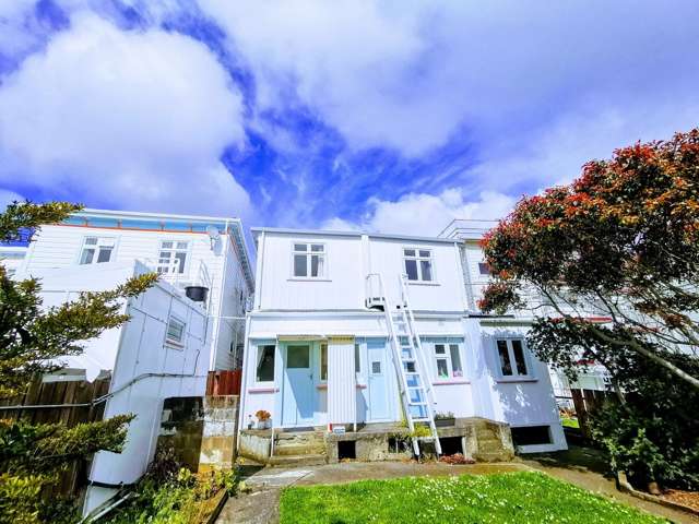 1BR Mt. Victoria Haven - Parking additional $20
