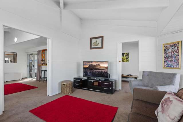 17A Merivale Road Parkvale_3