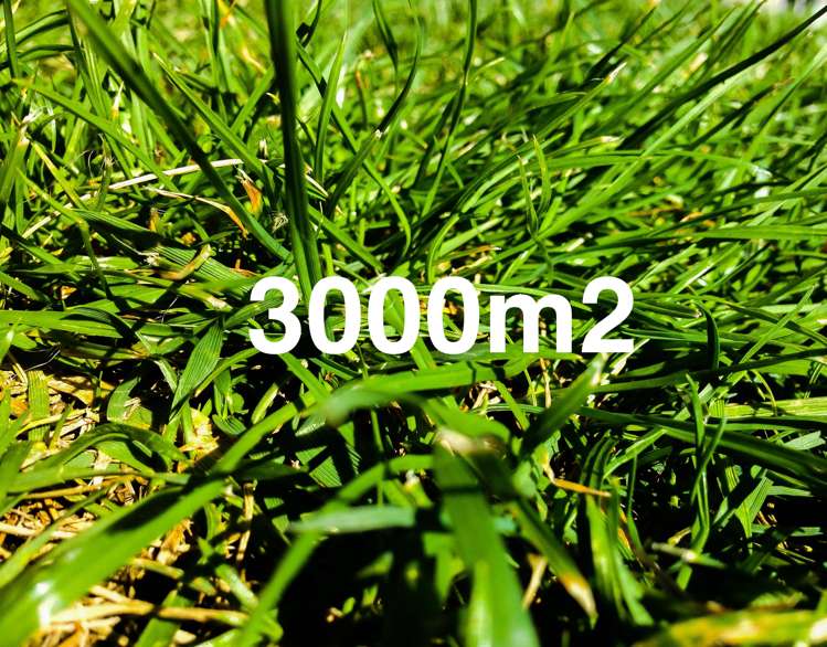 344 Mount Pleasant Road Mount Pleasant_0