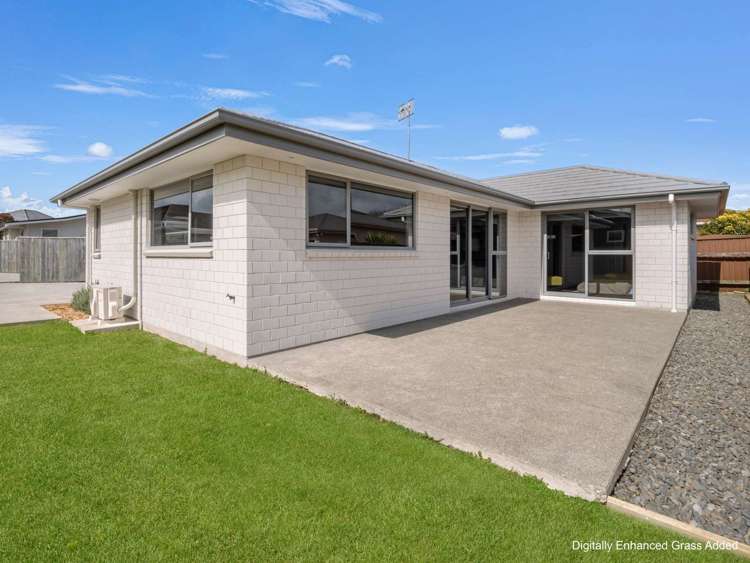 137a Winchester Street Levin_2