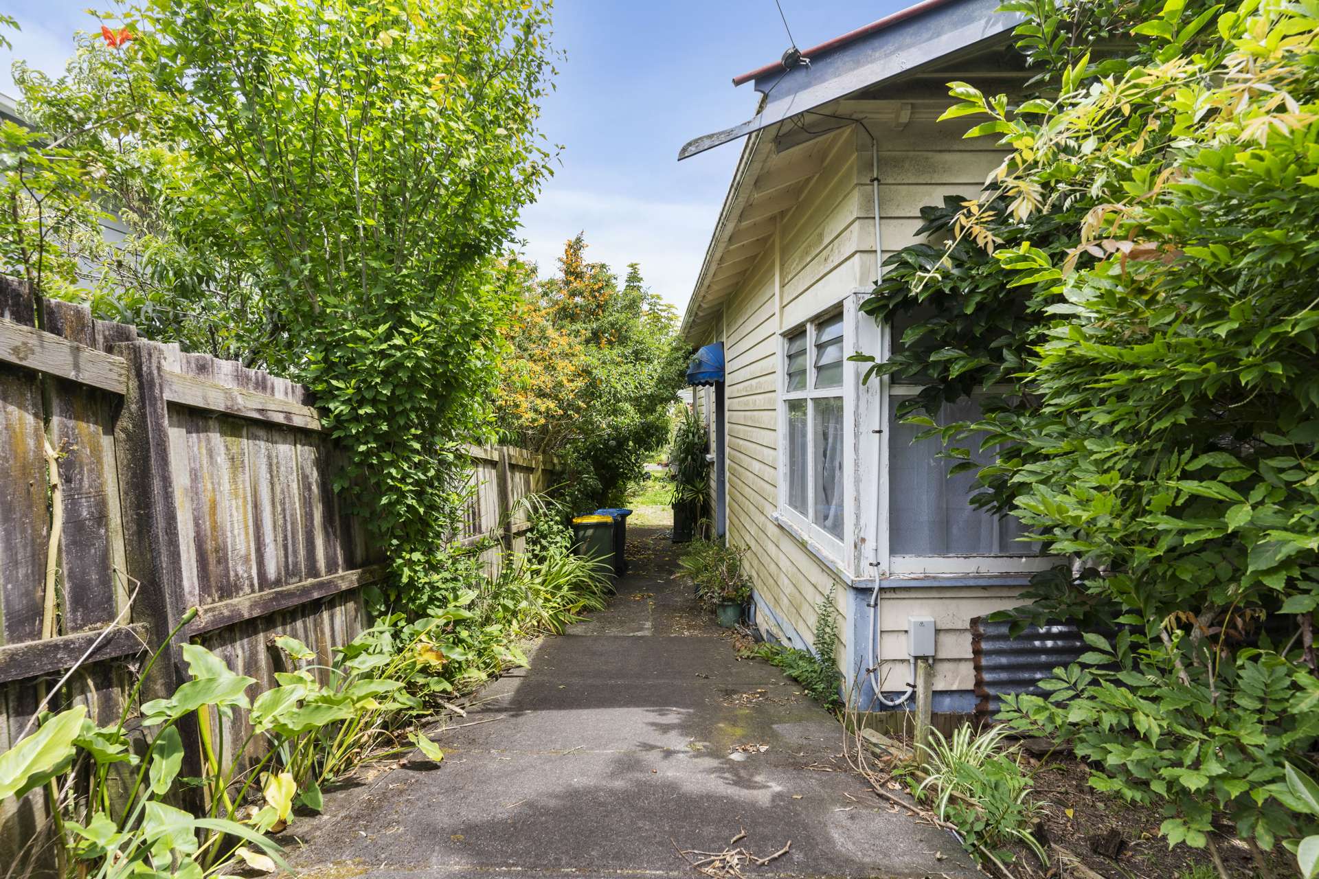 34 Cockburn Street Grey Lynn_0