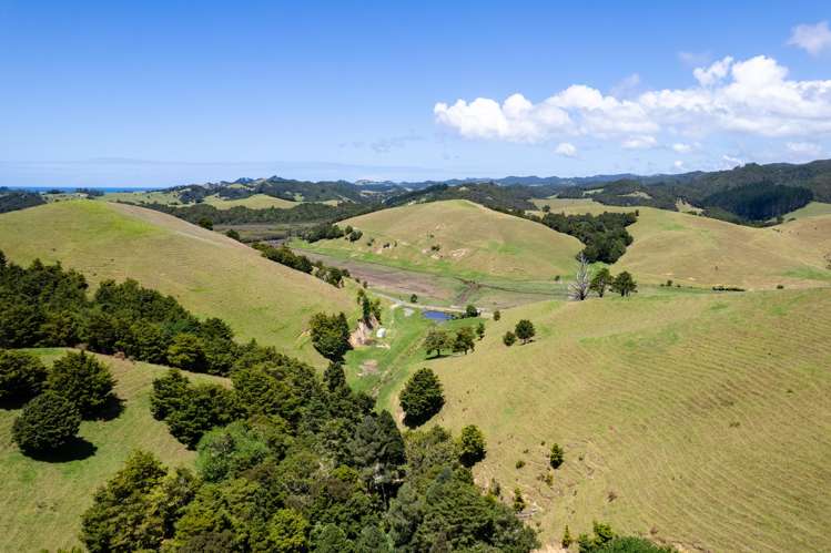 538 Hailes Road Whananaki_26