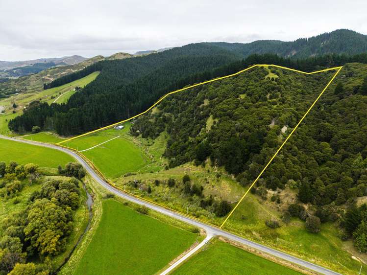 1247 Wharekopae Road Ngatapa_16