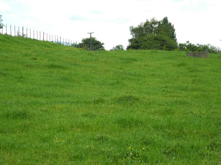 82 Pirongia Road Te Awamutu_16