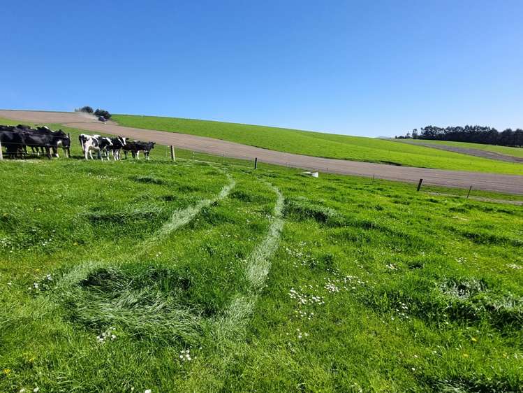 Beggs Track Hillend_5