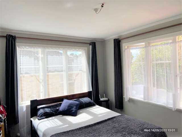 141 Rosier Road Glen Eden_1