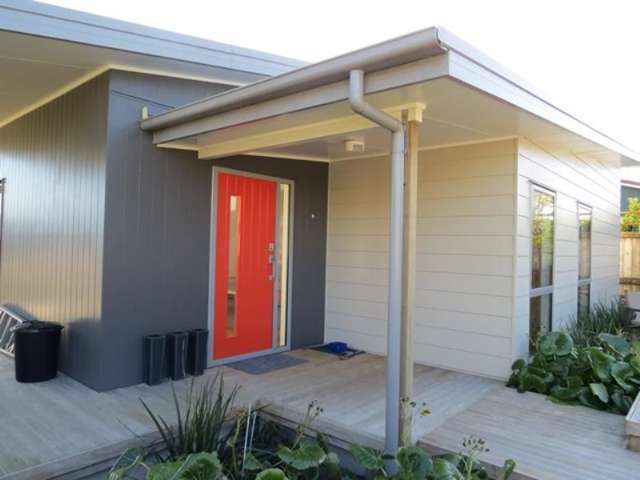 30a Ballance Street Lower Vogeltown_1