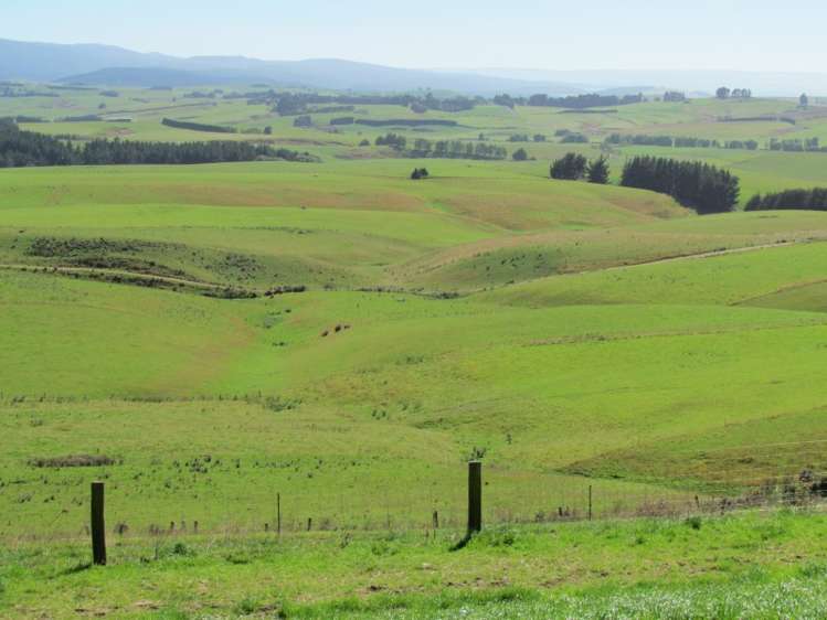 219 Beacon Hill Road Clinton and Surrounds_3