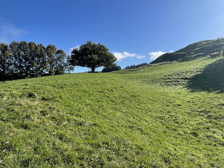 80b Mangaotaki Road Piopio_48