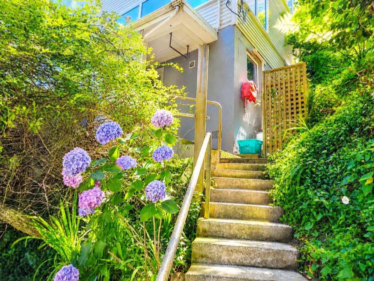 64B Salamanca Road_0