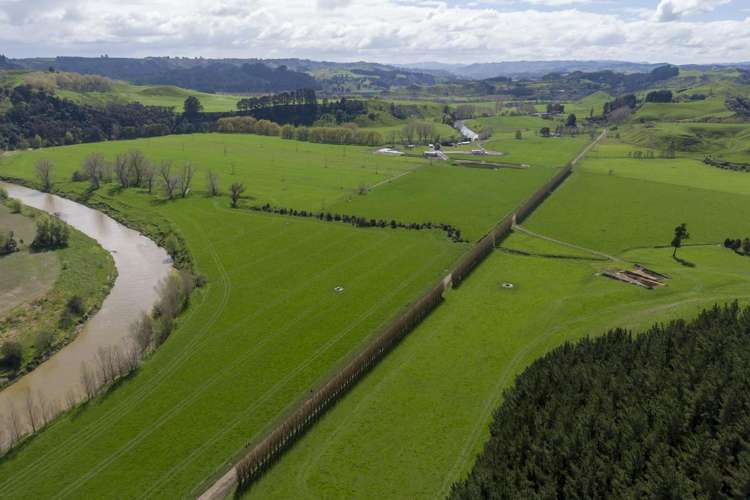 354 Kumuiti Road Fordell_10