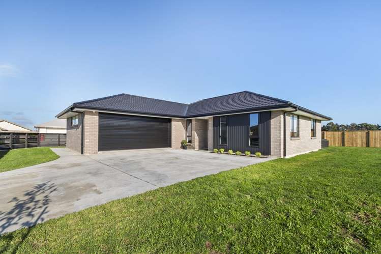 14A Turoa Street Feilding_0