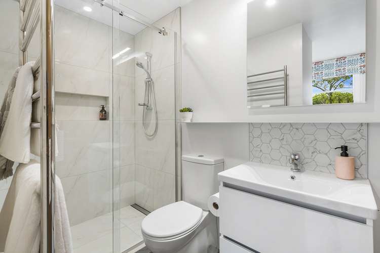 117 Nevay Road Miramar_13