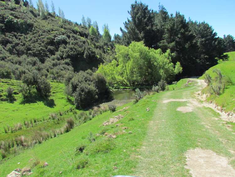 139 Clay Creek Road Ruakokoputuna_11