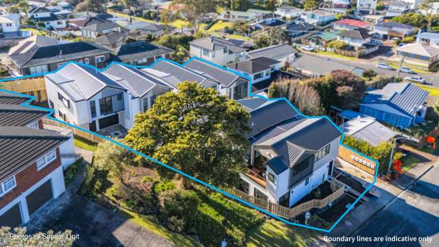 Lot 3/3 Catton Crescent Mount Roskill_4