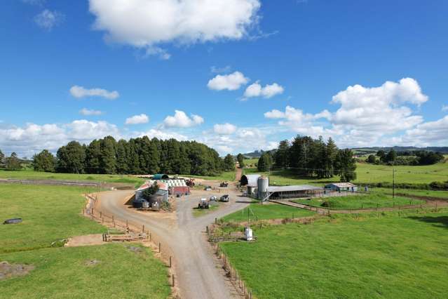 503 Puhipuhi Road Whakapara_3