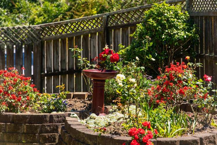 10 Davern Lane New Lynn_22