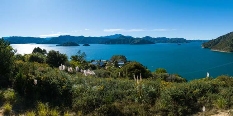 318 Port Underwood Road Waikawa_8