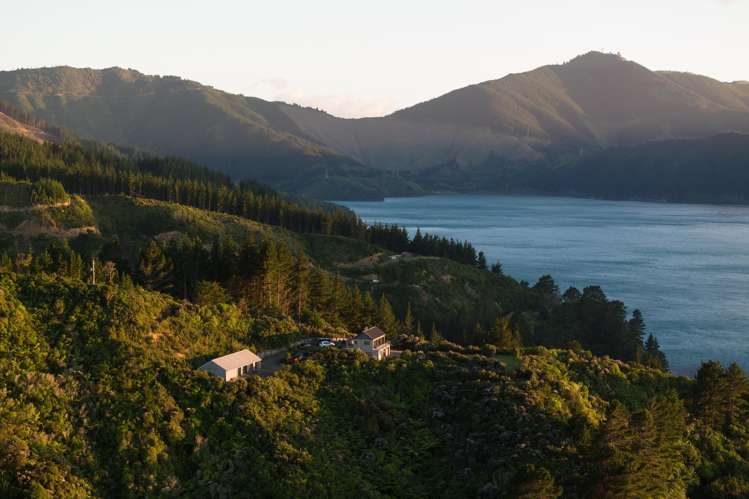 1786 Port Underwood Road Marlborough Sounds_22