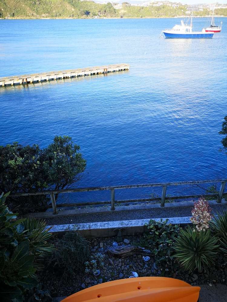 10/305 Evans Bay Parade Hataitai_2