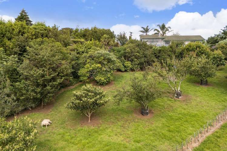 100 Woodland Road Katikati_26