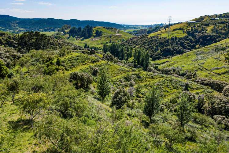48 Avery Road Eskdale_31