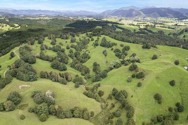 Coxhead Road Parakao_6