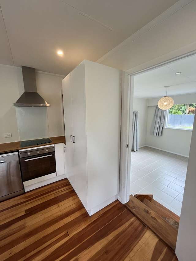 73 Mulgrave Street Ashhurst_4