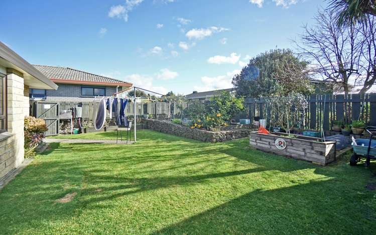 8 Randell Place Te Puke_5