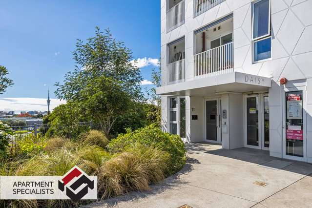 11 Akepiro Street Mount Eden_2