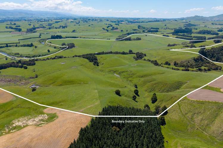 327 Okarae Road Dannevirke_11