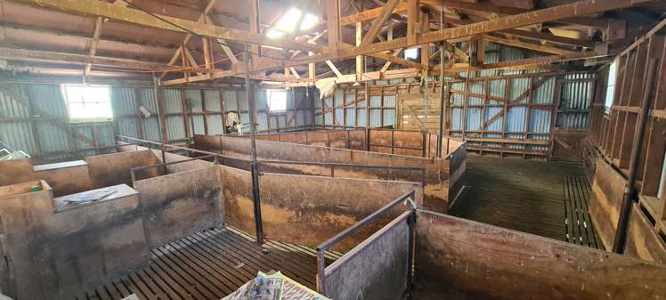 286 Brydone Glencoe Road Gore Surrounds_11