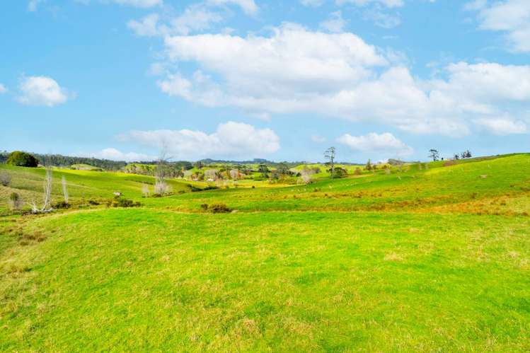 462 Kahikatea Flat Road Waitoki_10