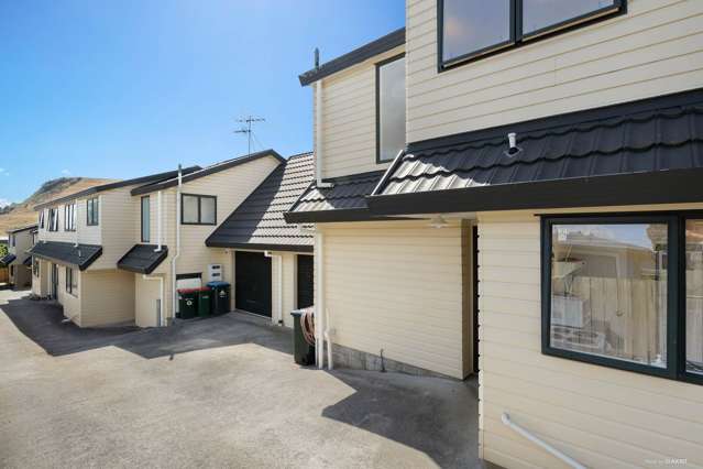 60 Pilkington Road Panmure_1