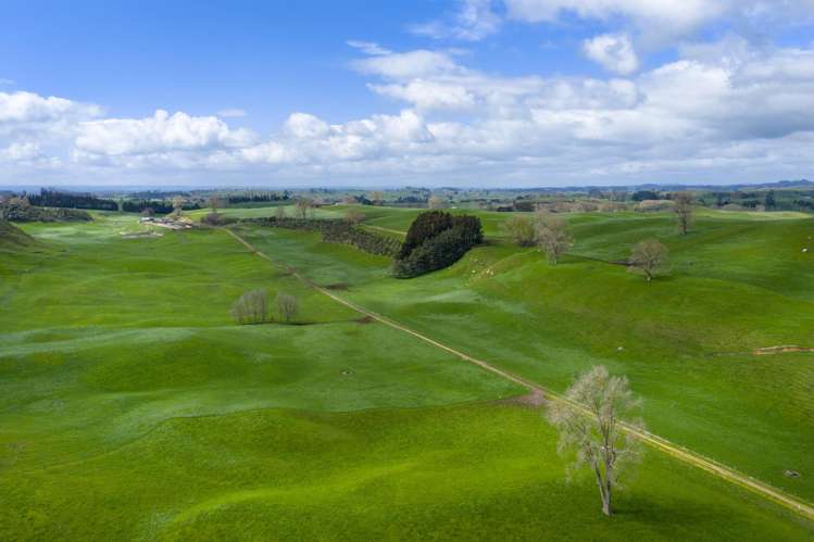 578 Waimanu Road Wharepapa South_10