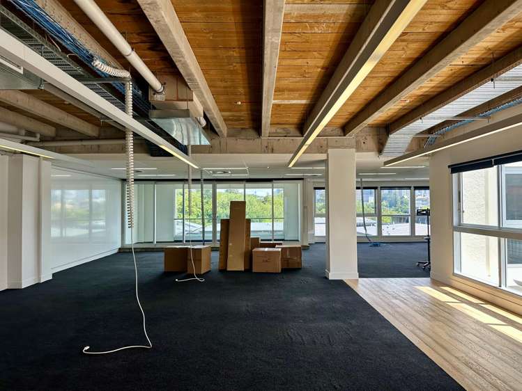 7 Falcon Street Parnell_1