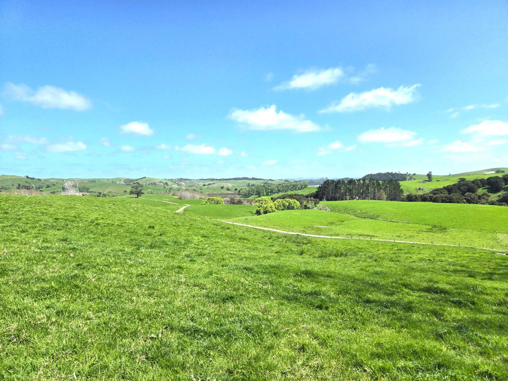 284 Marohemo Road Maungaturoto_0