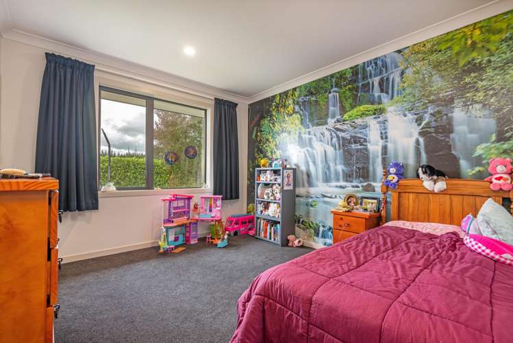 78 County Heights Drive Aokautere_20