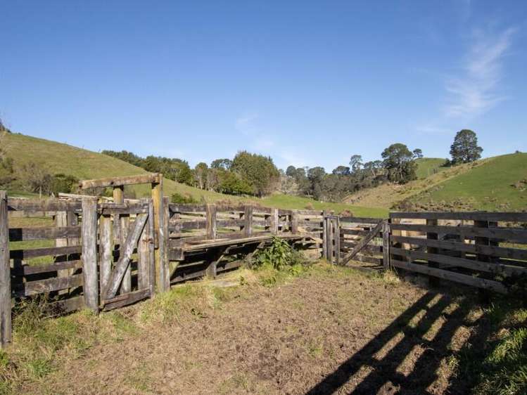 229 Walford Road Katikati_19