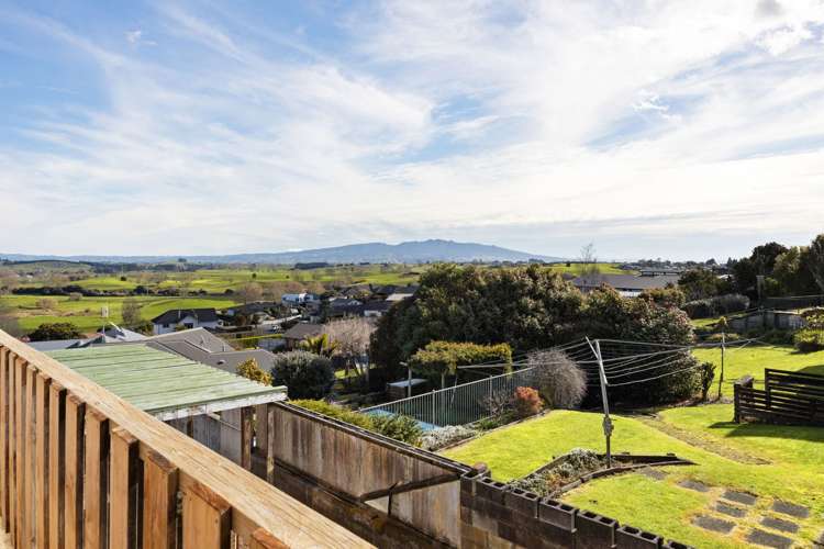229 Fairview Road Road Te Awamutu_21