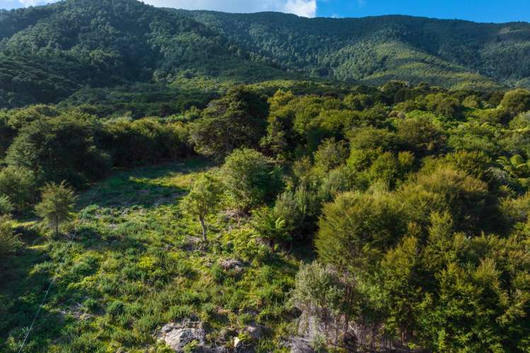 Lot 37 Kaiuma Bay Road Kaiuma Bay_6