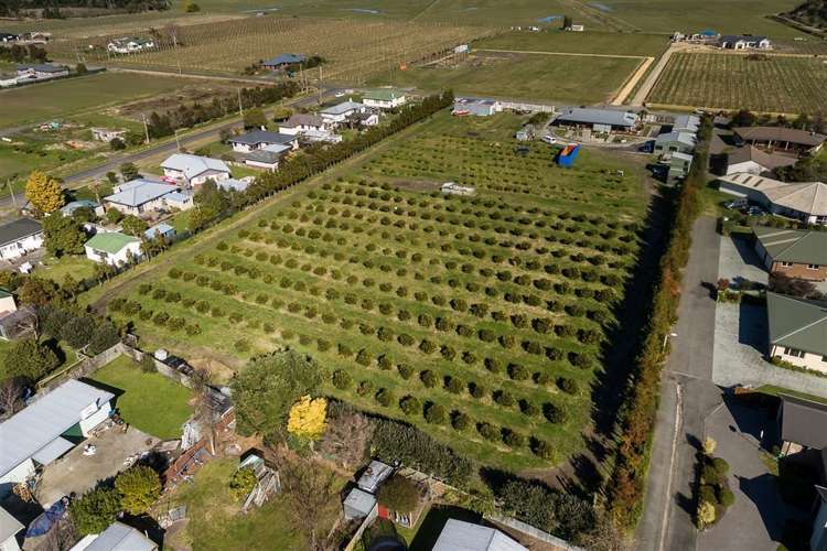 9 Buchanan Street Bay View_19